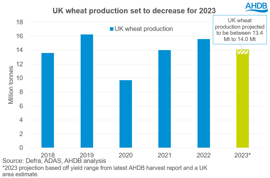 A graph showing wheat production and 2023 forecast.